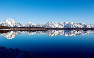 我屡立战功回京后遭到贵女集团排挤，只有傻白甜太子妃闺蜜愿意亲近我，为了保护她，我不惜成为太子妈