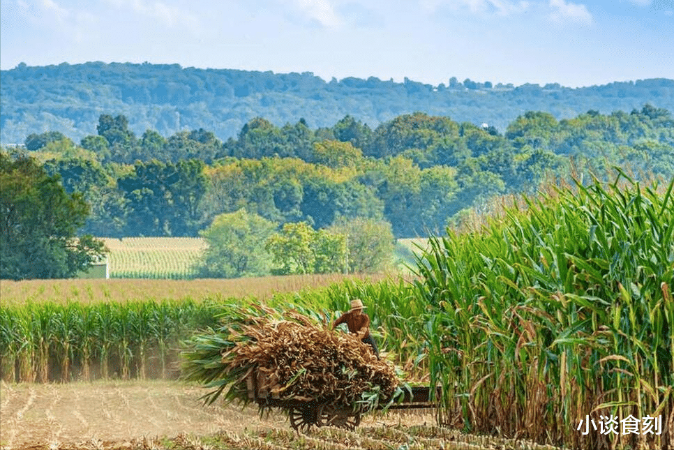 “上秋凉飕飕，下秋热死牛”，今年啥时候立秋？是上秋还是下秋？