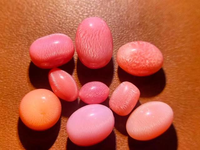 海螺文玩背后的故事，四大名螺竟有这些讲究！