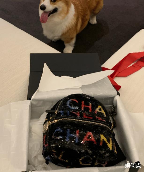 王思聪豪掷7万给女友买包,小羽重回思聪豪宅!深夜晒照宣示主权