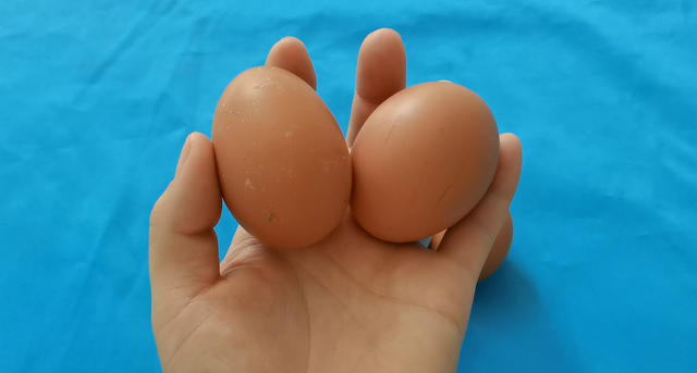 为什么鸡蛋价格一直在涨?我也今天刚知道,立马告知家人越快越好