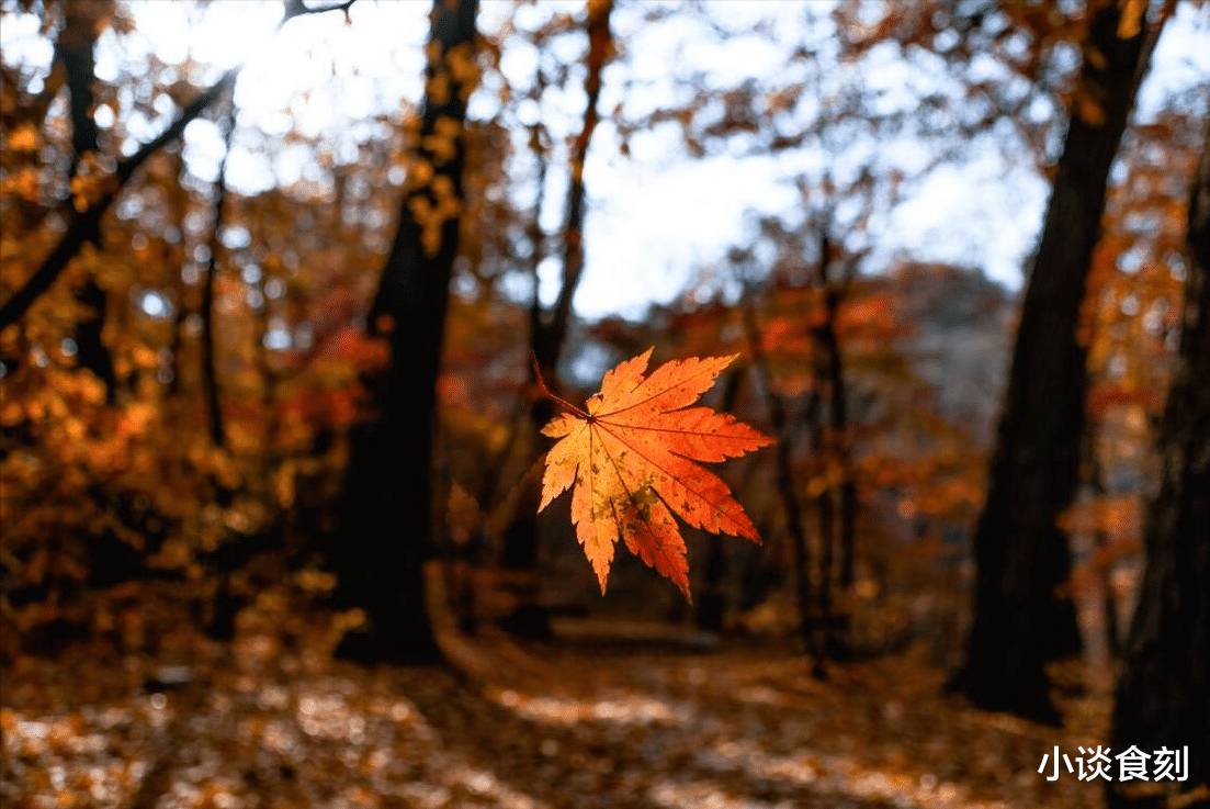 七月初四立秋，老人说：今年立秋不一般，有3个特点，和往年不同