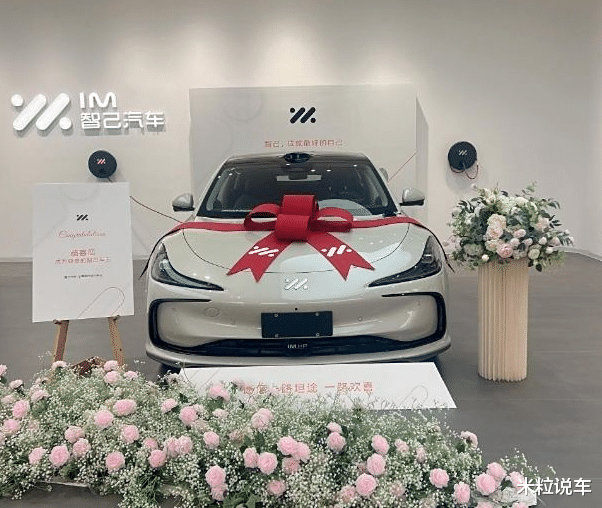 行驶11000km后，车主坦言：不是特斯拉不够好，而是智己这次太强