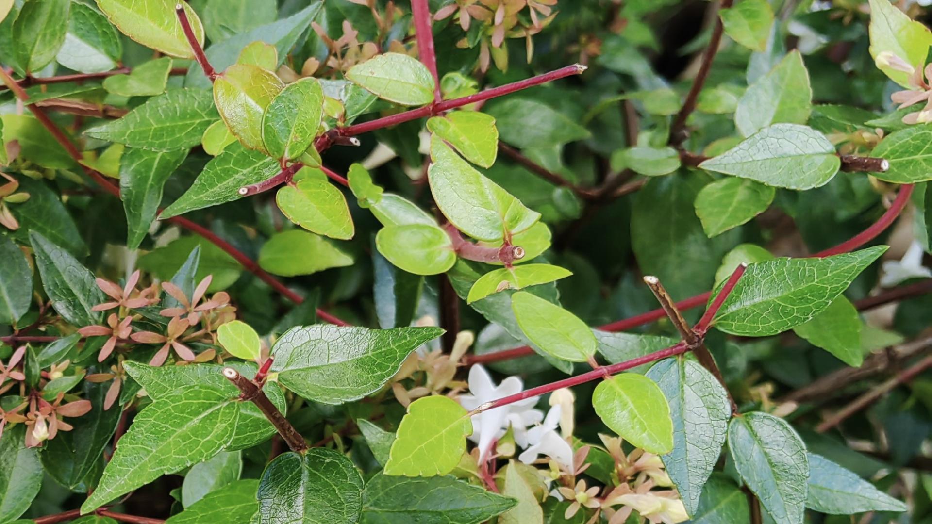 职场打破头？需要老娘舅