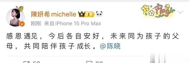 卓伟说是陈晓突向陈妍希提出离婚的,提离婚后陈晓收拾行李并拉黑