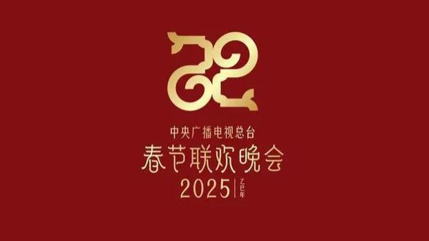 2025 央视春晚总台主持阵容曝光：康辉走了，来了一位新美女主持