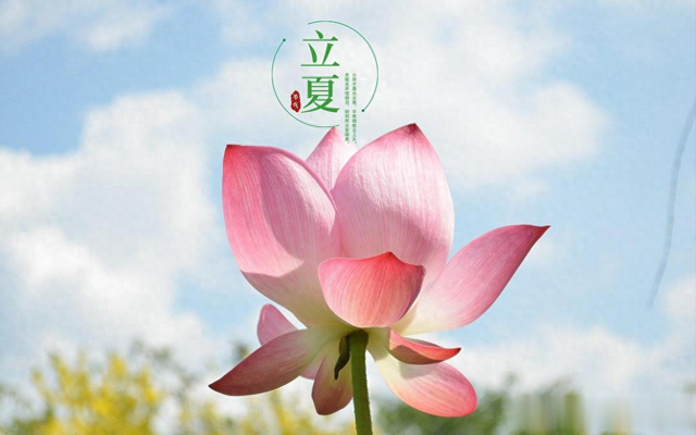 立夏将至,古代农谚有:立夏尝3鲜,好运一整年!三鲜指的什么?