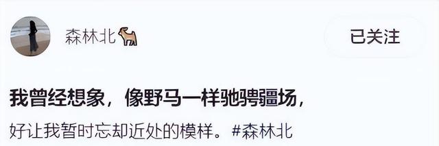 森林北再发视频,骑马、射箭展现才华,评论区牙都酸掉了