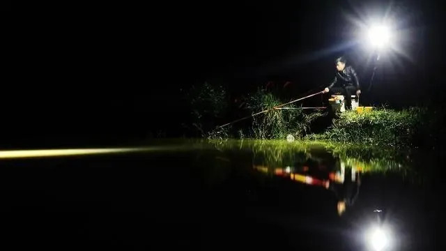 夜钓高手都是怎样炼成的？揭秘夜钓黄金时段，你准备好了吗？