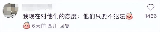 全网为杜江霍思燕一家颁发塌房豁免权,好小众的荣誉啊