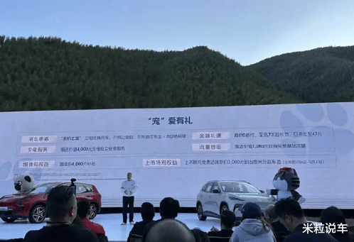 全新“国产ES”正式上市！智能驾驶+绝美颜值+超性能，10万级