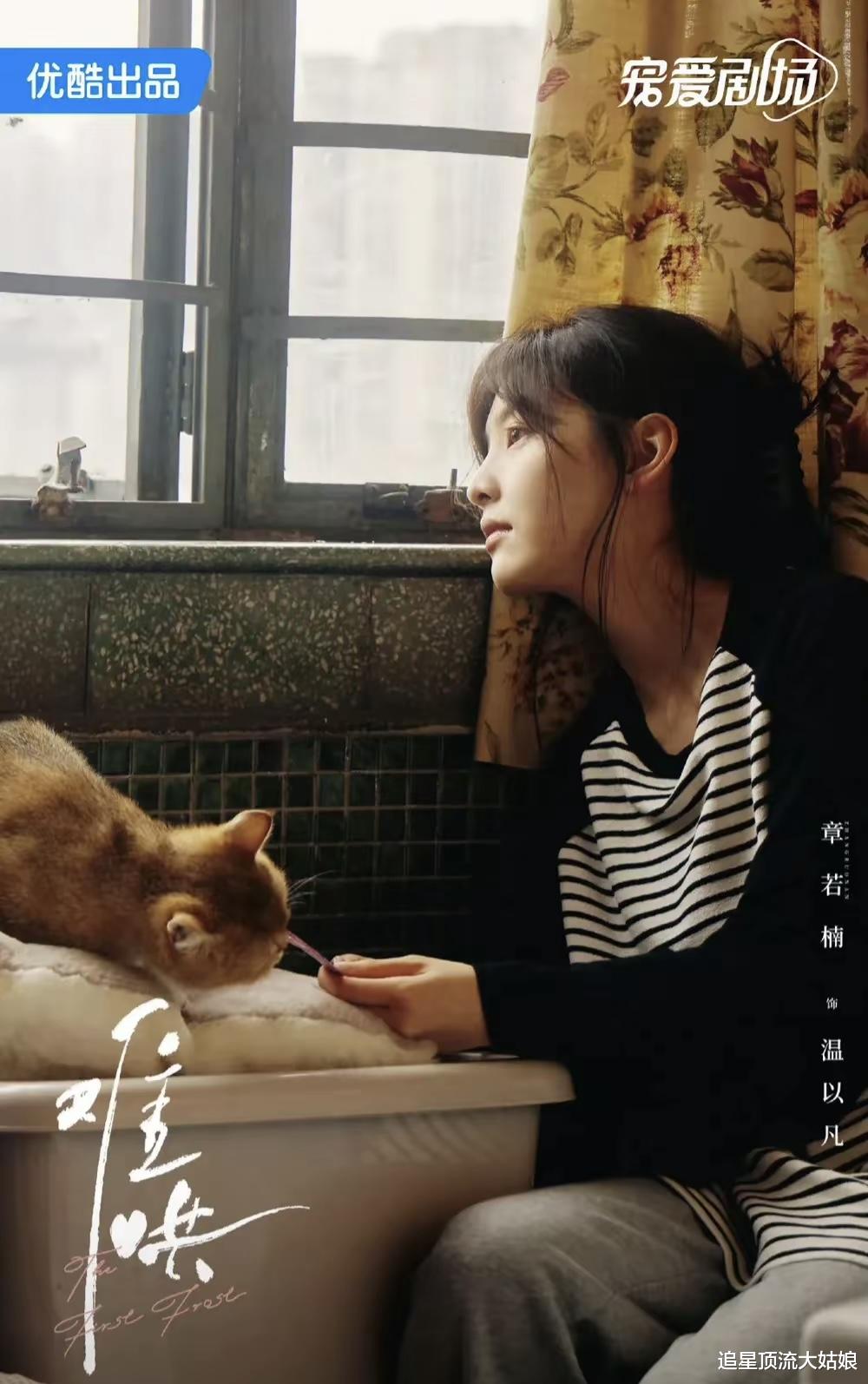 厉害了！《雪迷宫》直接开播，三大平台轮番上阵“王炸剧”争夺头筹