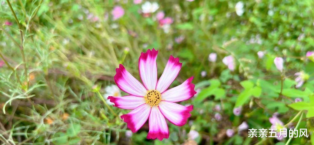 在单位里，心眼坏的人，一般有这三个特征，赶紧远离！