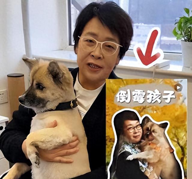 央视胖主持张越，如今鼻孔外翻身形暴瘦，离开央视后她经历了什么