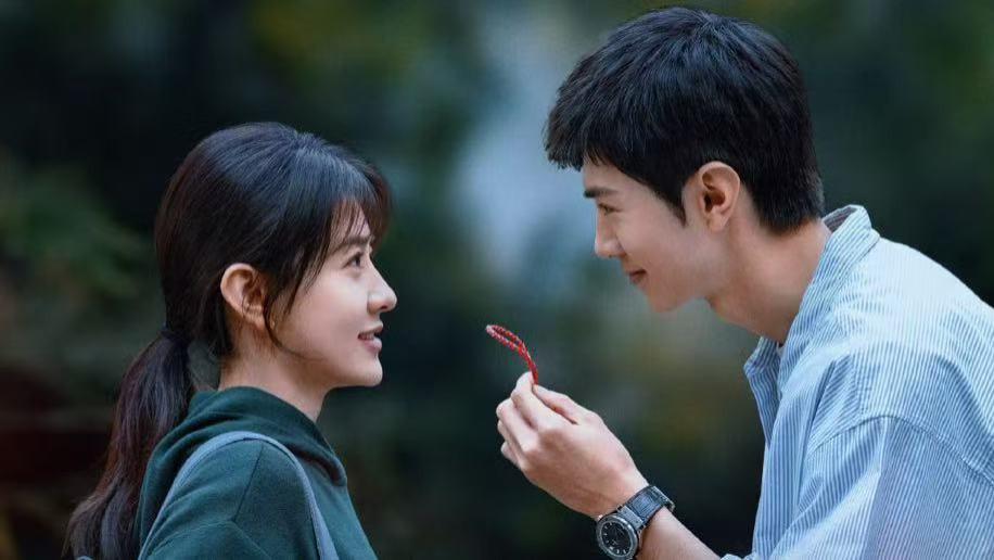 2月1日追剧日历，8部长剧更新，电视剧《白色橄榄树》今日开播