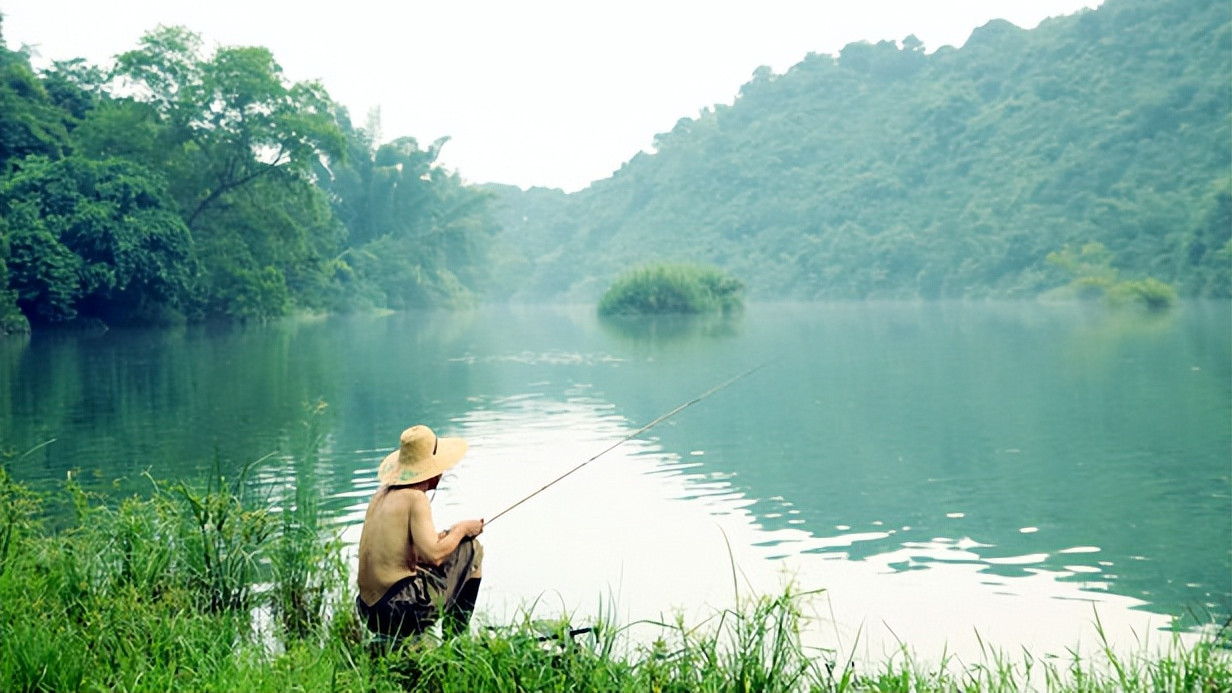 夏日鲫鱼难钓？是你没找到这些秘密地点，没用上这些小技巧！