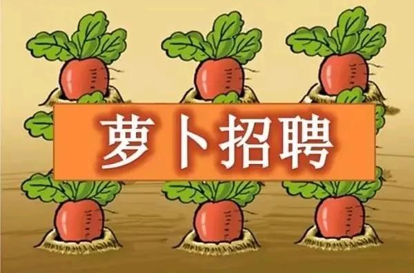 烟草局招体育特长生后续！被扒出曾录用舞蹈表演和播音主持专业。