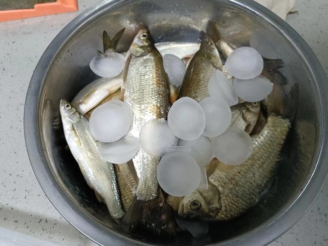 重出江湖，选对天气，选对钓位，选对方法，冷门钓点也能小有收获