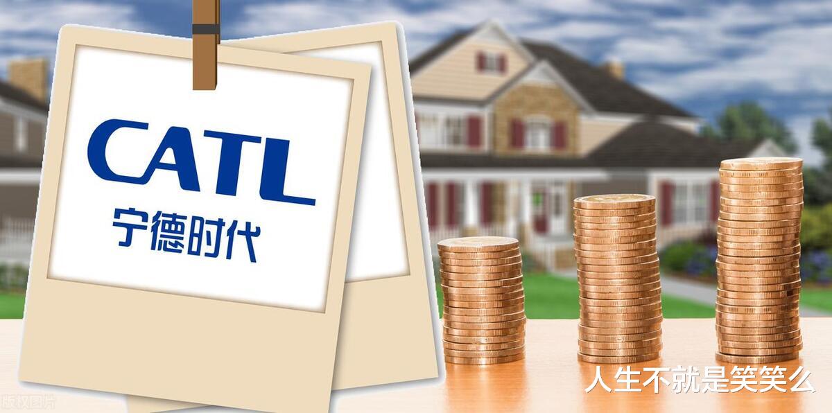 宁德时代/特拉斯上榜，国内难进/难呆的7家企业，其中2家在福建