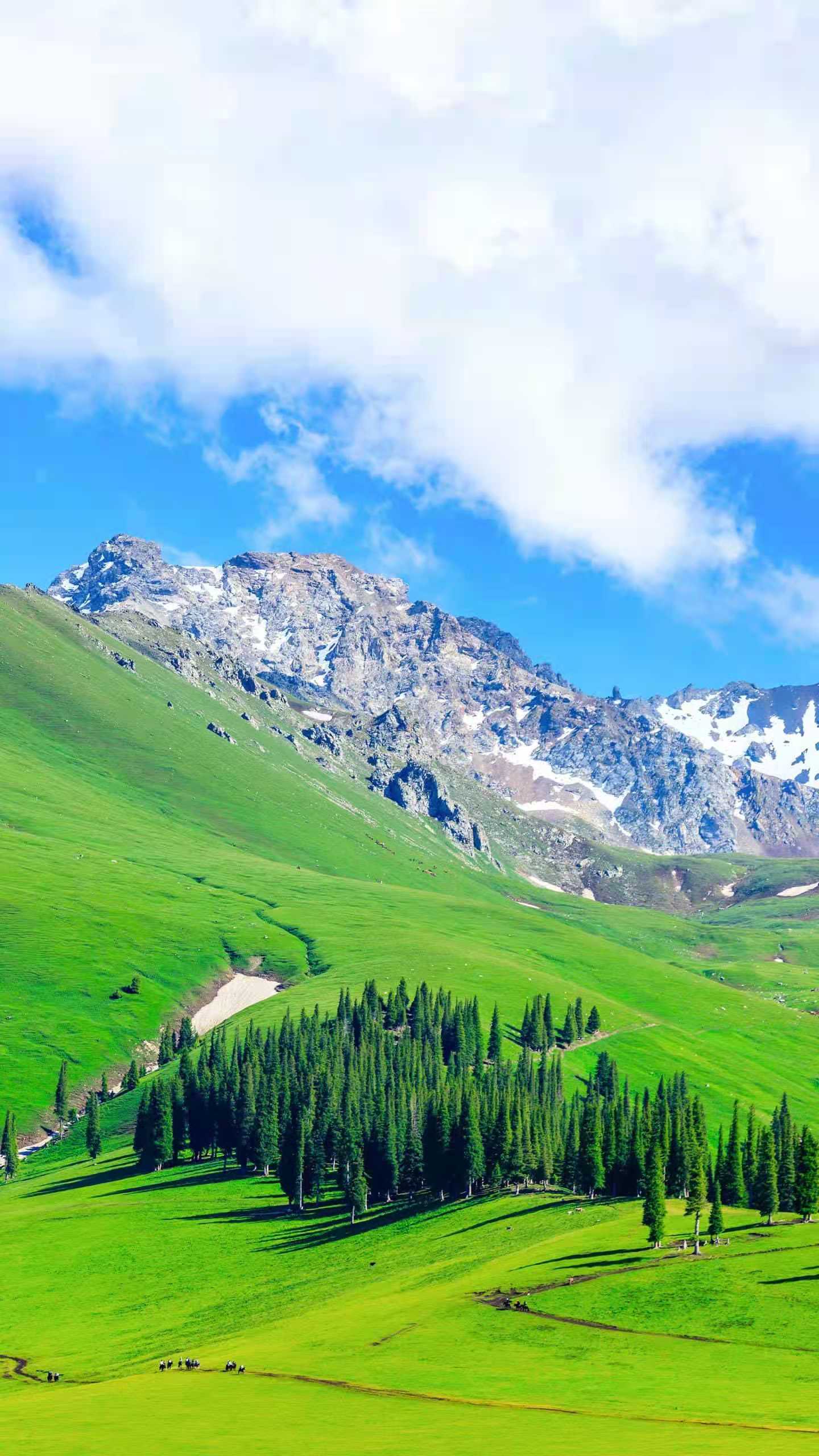 为什么学生上学要填写父母职业呢?想不明白啊!