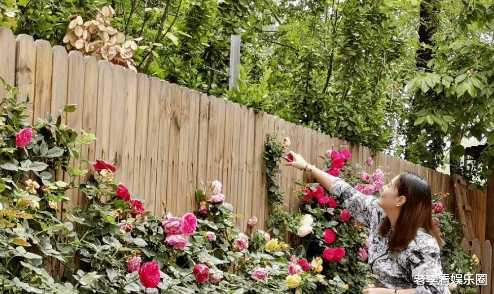 周海媚：无论是短发长发，有刘海还是露额头都不影响我的美