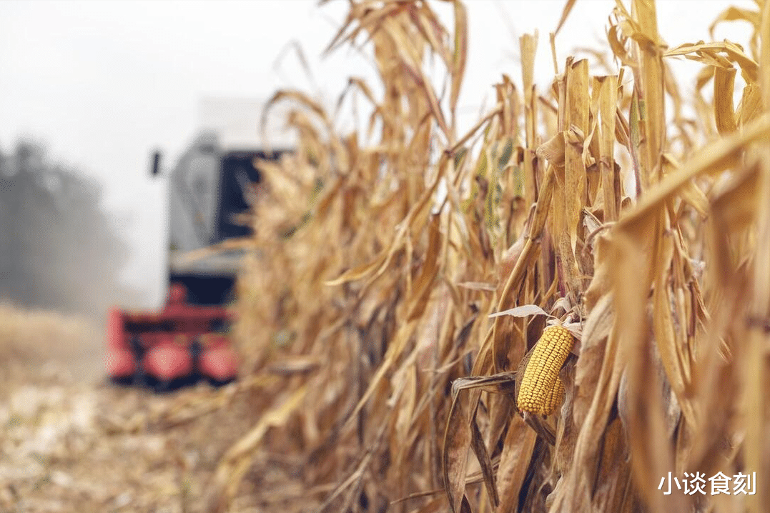 8月7号立秋不一般,4个好消息,1个坏消息,早了解早做准备