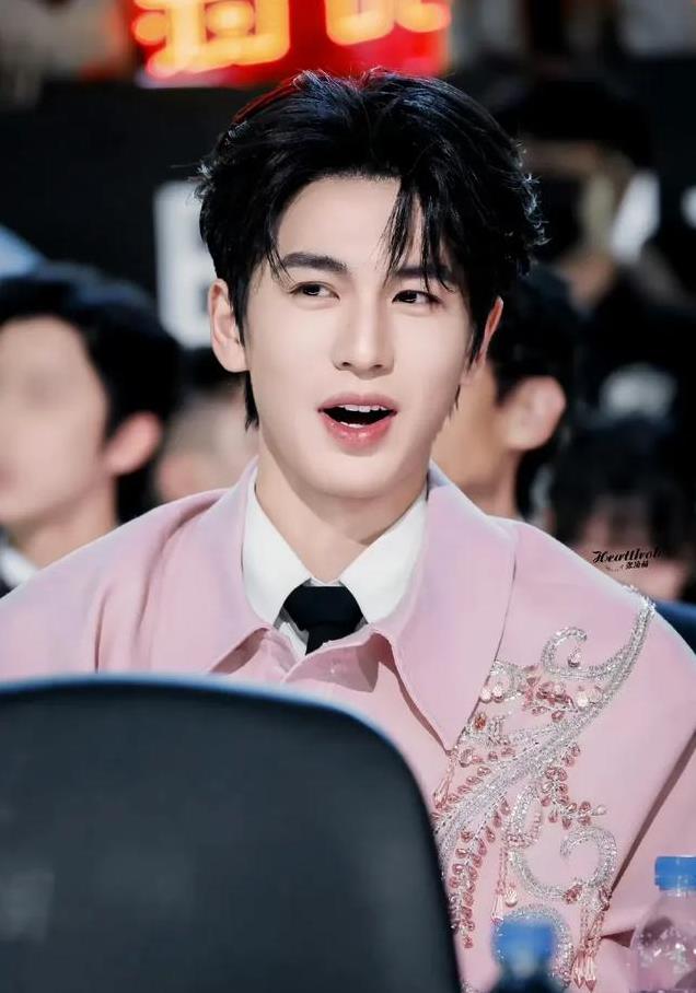 平心而论,内娱真正的绝色美男只有12位,他们酷帅雅痞,清新性感