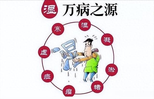 升阳的第一要务就是要祛湿,张仲景经典祛湿方,助你升阳无阻