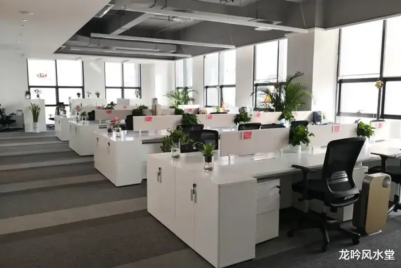 龙吟师傅:办公室要摆放什么来旺财