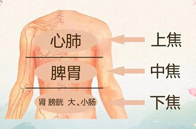 凡生癌症者，三焦皆不通！老中医教你6个穴位打通三焦，远离癌症