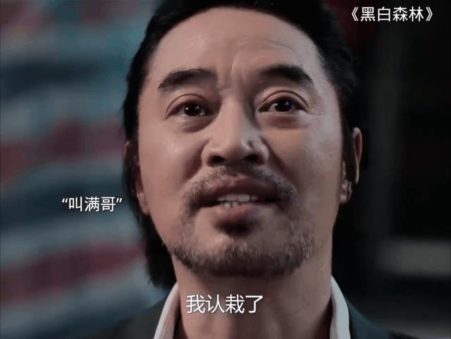 今年最热门排行前十名的刑侦剧