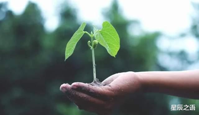 这五个星座下半年有望遇贵人，帮助他们职业发展得更顺利！