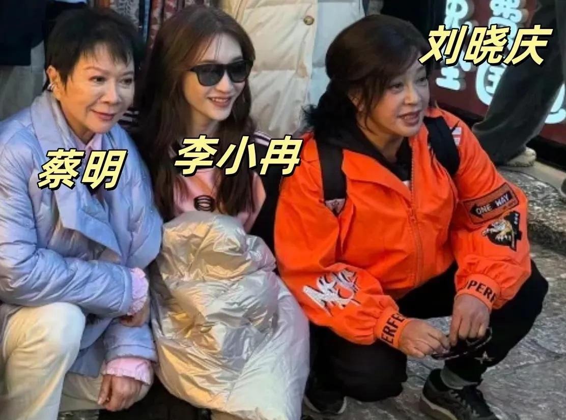 74岁刘晓庆扮大学生,与向太合影蹲前面,颜值被48岁李小冉碾压!