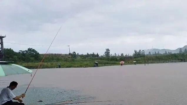 雨天垂钓：选择合适钓位，享受丰收