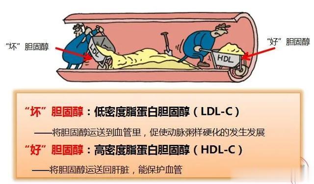 长期吃他汀，身体会发生这6处变化，3好3坏，坏的也需客观对待