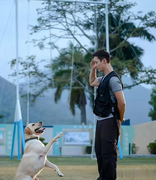 来看看两位型男男演员，行走的荷尔蒙男人味十足，演技精湛。