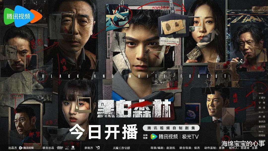 《黑白森林》的播出告诉观众:演员遇不到好剧本,演技再好也白搭