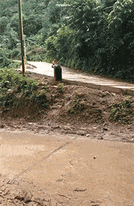 59岁香港最惨美男:帅到窒息却被雪藏,结三次婚又两度丧子