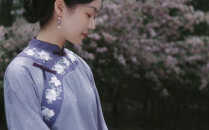 我嫁进王府第二年，清皇朝亡。