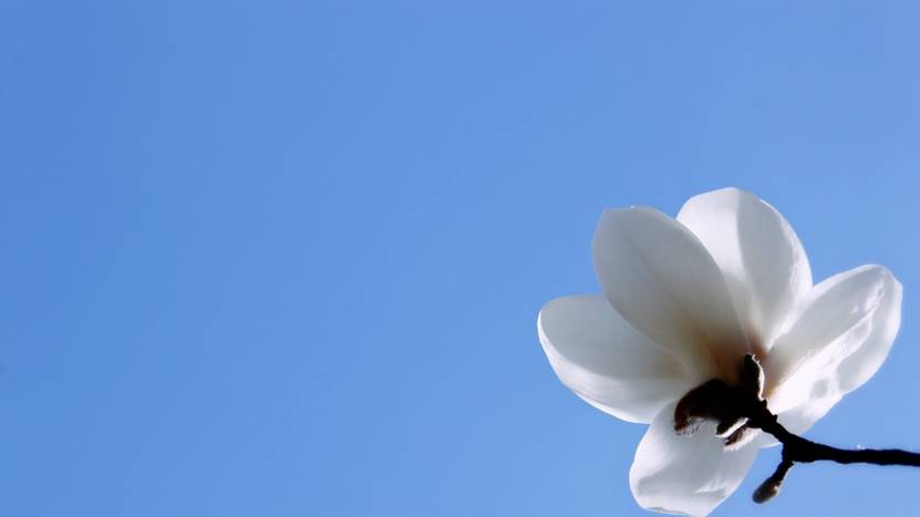 面对行业衰退,如何找到新的就业机会?