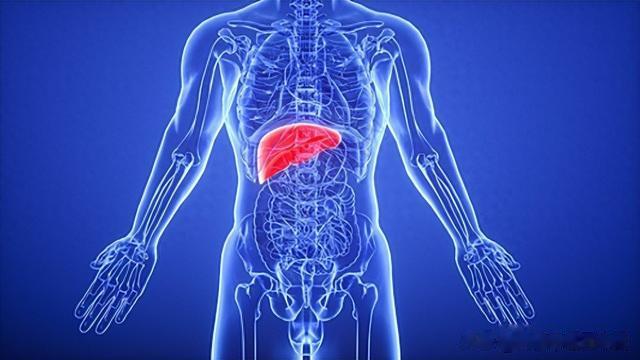 肝胆舒畅，病不扰！三个中成药，护肝利胆，健康无忧！