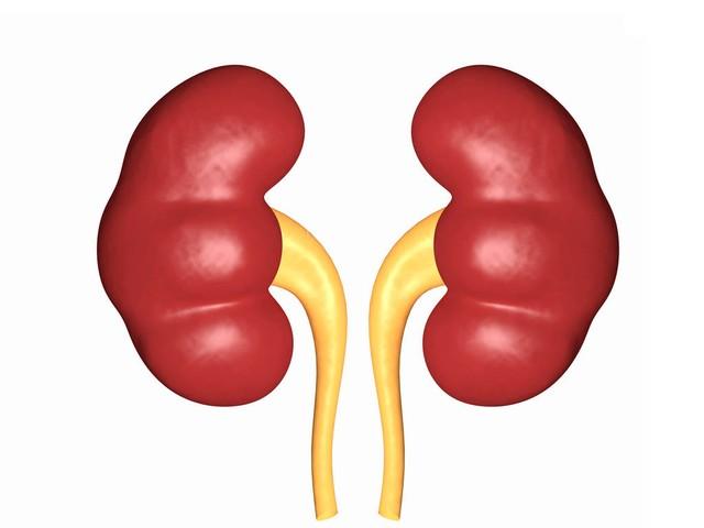 无论男女,身体2处“开裂”,或是肾脏发出预警,占一项也得重视