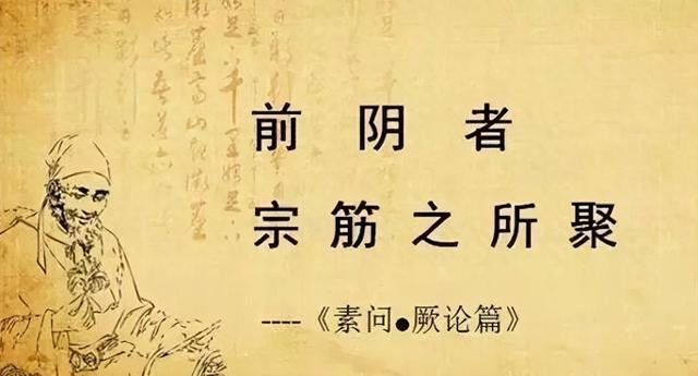 宗筋不坚，除了肾，更重要的在肝！