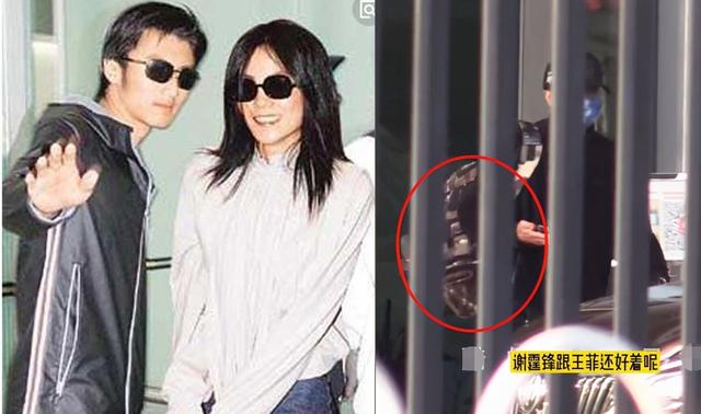 世纪三角恋终于落幕,王菲终于放过谢霆锋?三人如今各自安好