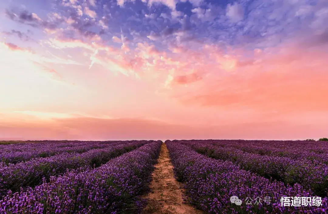 单位里,没人告诉你的人情世故:1、干活别太快;2、不要太在意他人眼光;3、不要掺合别人的工作;4、做事要留痕