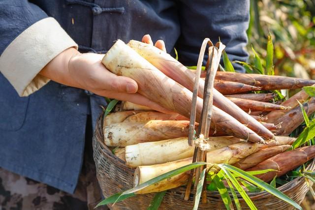 竹笋是哪里的特产？中国十大优质竹笋产地，你觉得哪里最有名？