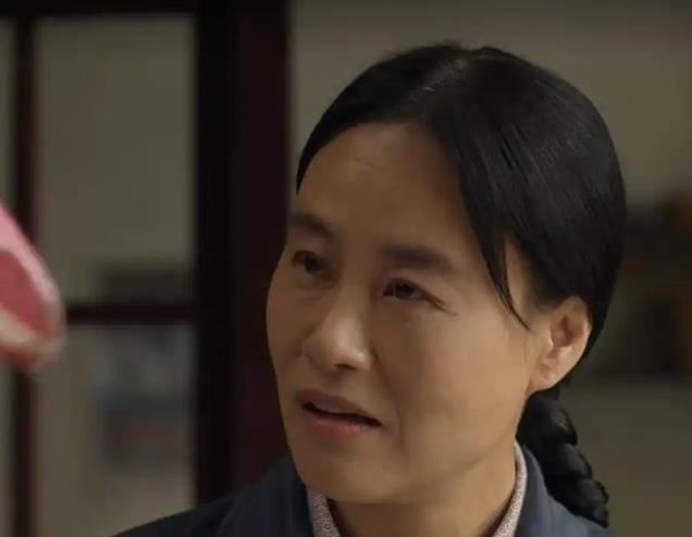 央视《六姊妹》口碑被49岁梅婷拉垮，网友选出该让这6人演何家丽