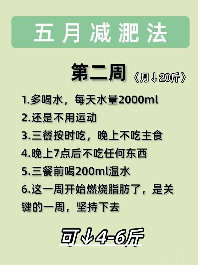 假如从5\uD83C\uDE37?5号开始减肥！