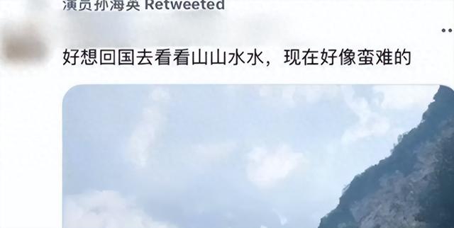 毁三观！孙海英再现不当言论，句句不留后路，一点不顾国内的继子