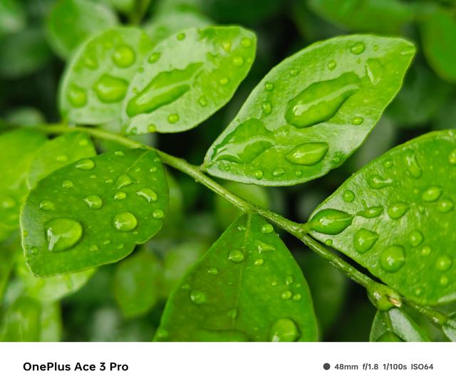 性能與美學兼得！這臺手機值得入手